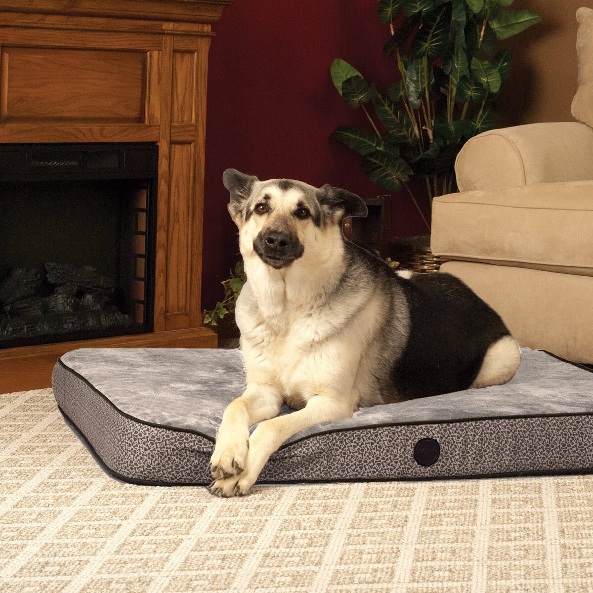 KandH Pet Products Superior Orthopedic Pillow Cat and Dog Bed， Gray