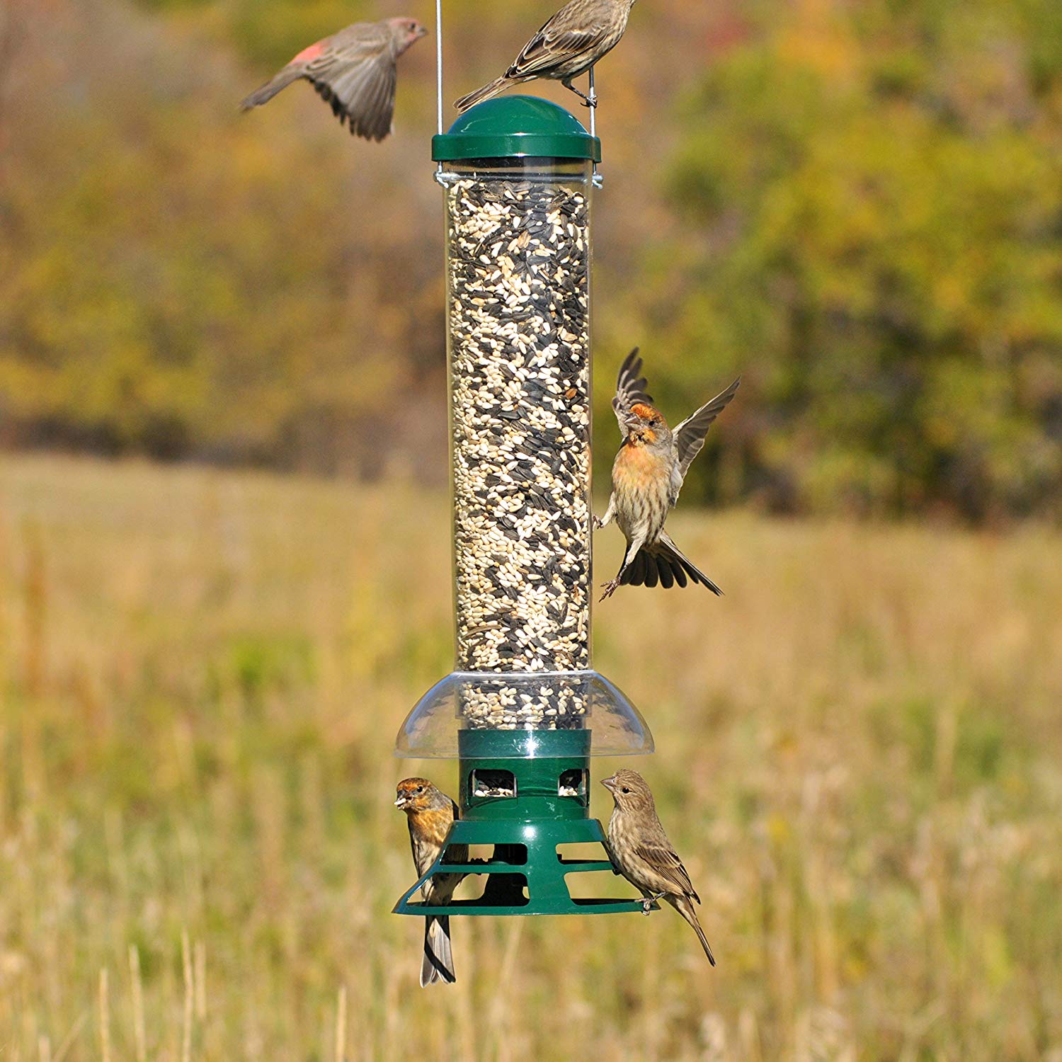 Perky-Pet Green Squirrel Slammer Wild Bird Tube Feeder - 3.5 lb