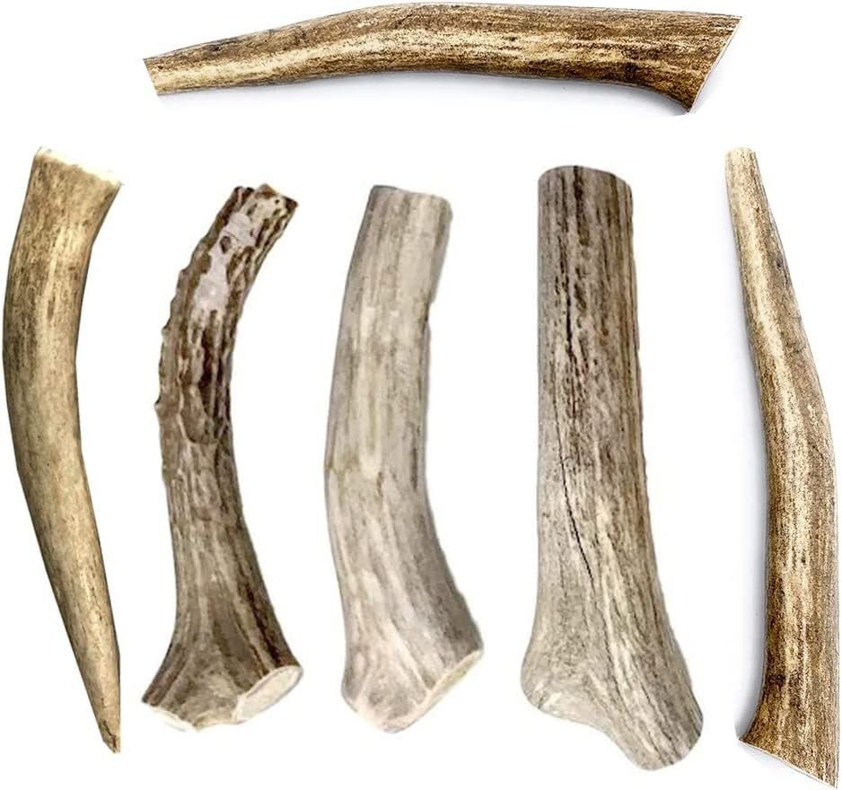 HOTSPOT PETS 6-9-inch All Natural Medium Whole Deer Antler Chews Dog Treats