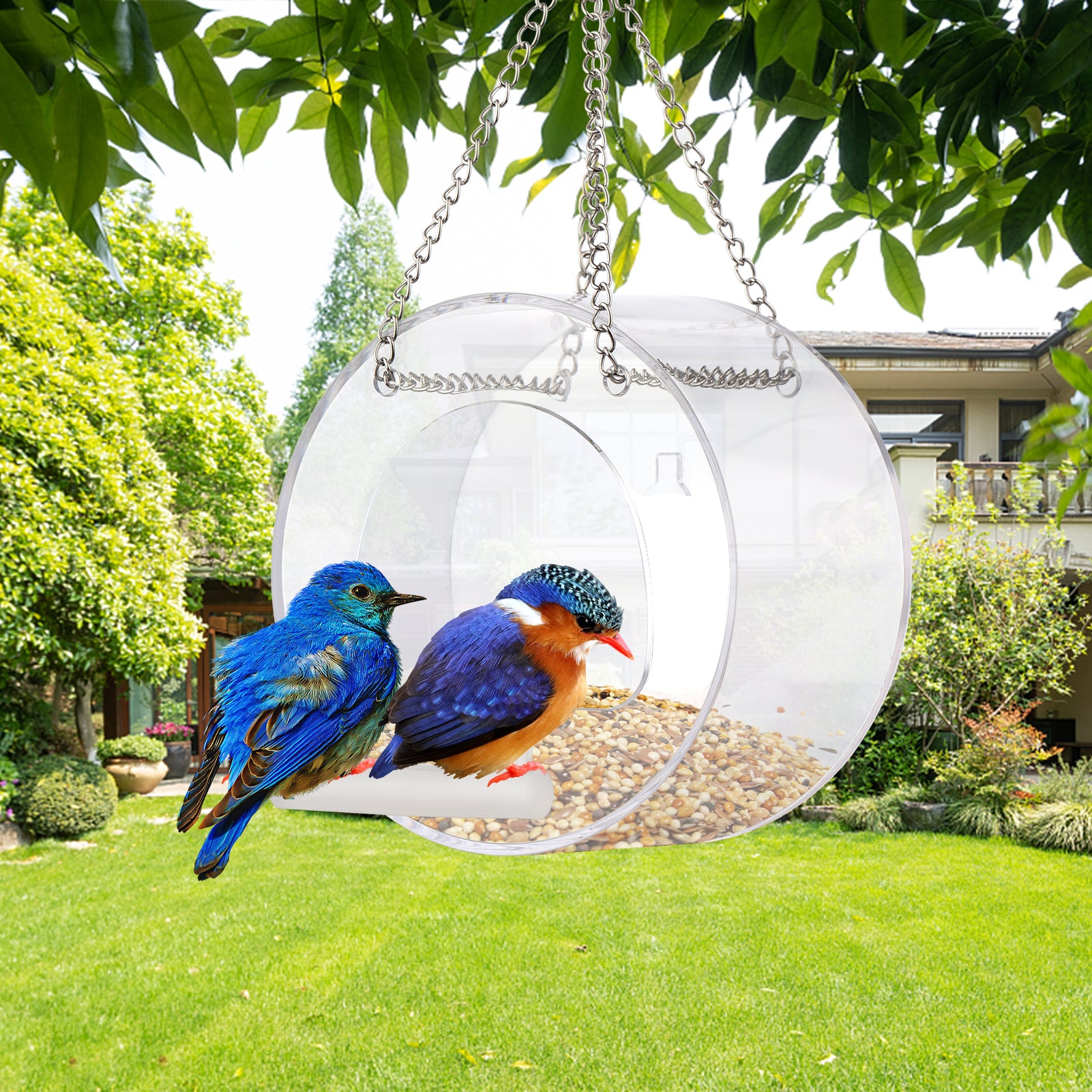 Clear Window Bird Feeder with Suction Cup Hanging Chain and Standing Pole Transparent Round Outside Birdhouse for Close Up View Outdoors Wild Birds