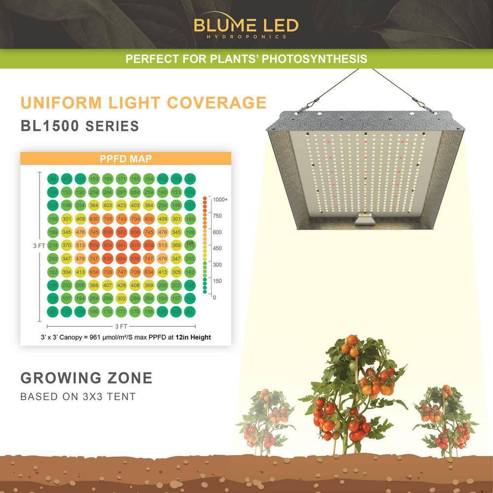 BLUME LED HYDROPONICS Blume 150-Watt full spectrum led Grow Light with daisy for indoor plants Bright White Color Temperature(2-PACK) BL1500