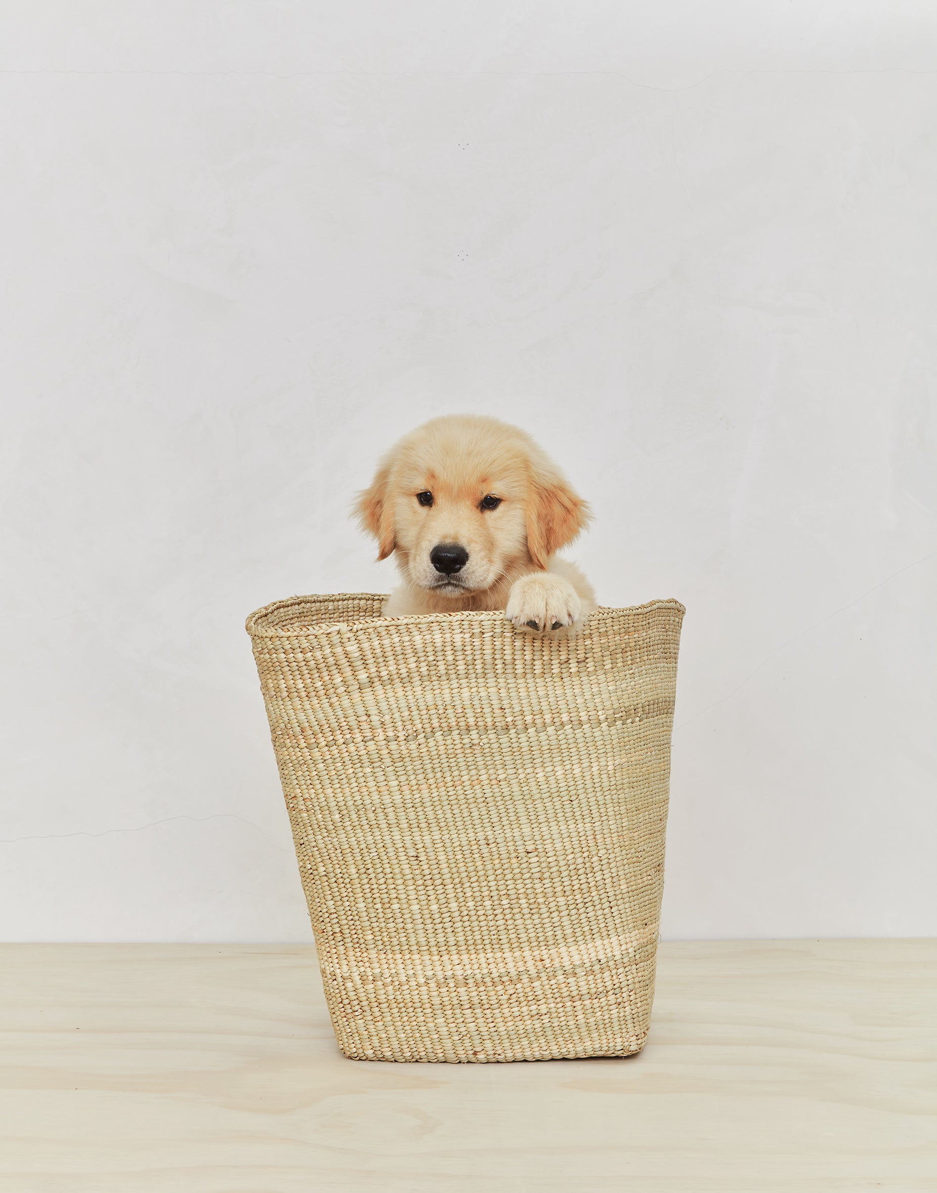 Woven Basket in Various Sizes