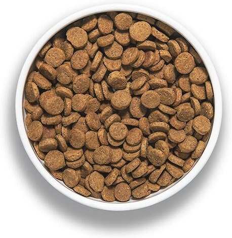 BIXBI RAWBBLE Fresh Pork Recipe Limited Ingredient Grain-Free Dry Dog Food