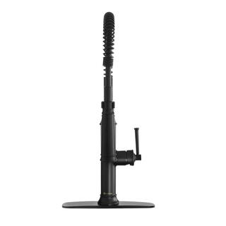 Glacier Bay Linscott Single-Handle Coil Springneck Pull-Down Sprayer Kitchen Faucet in Matte Black FP1B4202BL