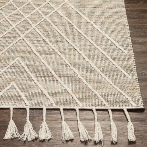 Norwood Solid Jute Grey Rug