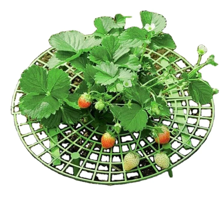 Strawberry Growing Rack Plastic Strawberry Support  Fruit Strawberry Stand Plant Climbing