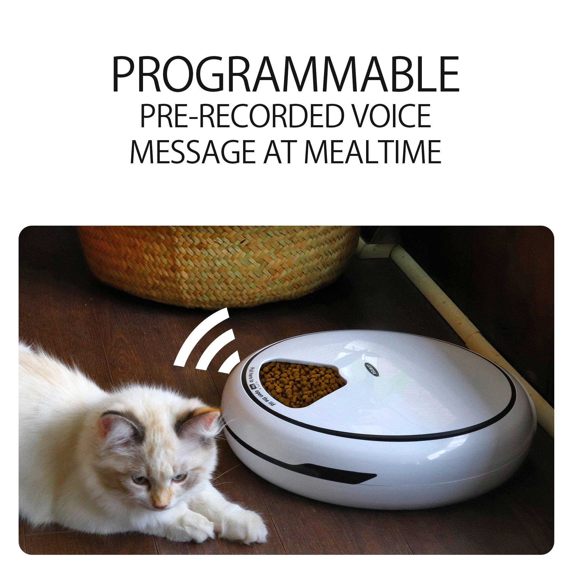 Lentek Programmable Five Meal Pet Dish with Voice Message， White