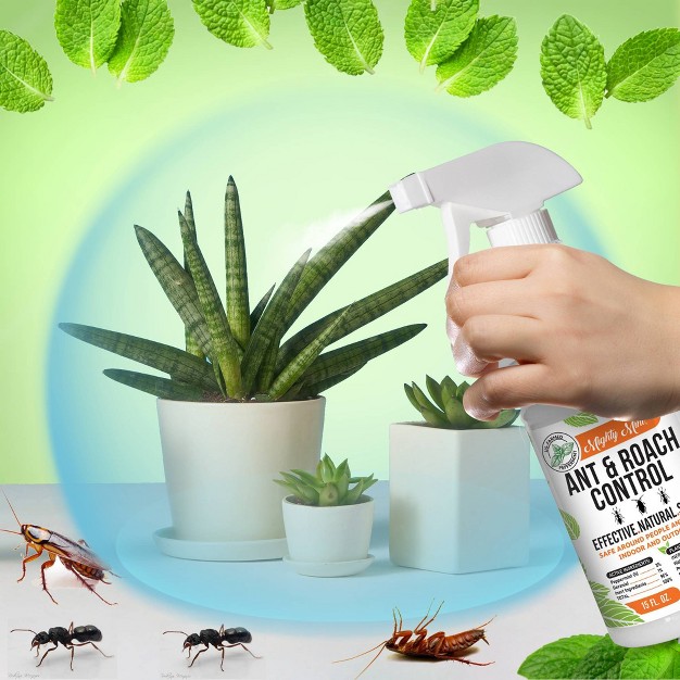 Mighty Mint Ant amp Roach Repellent 15oz