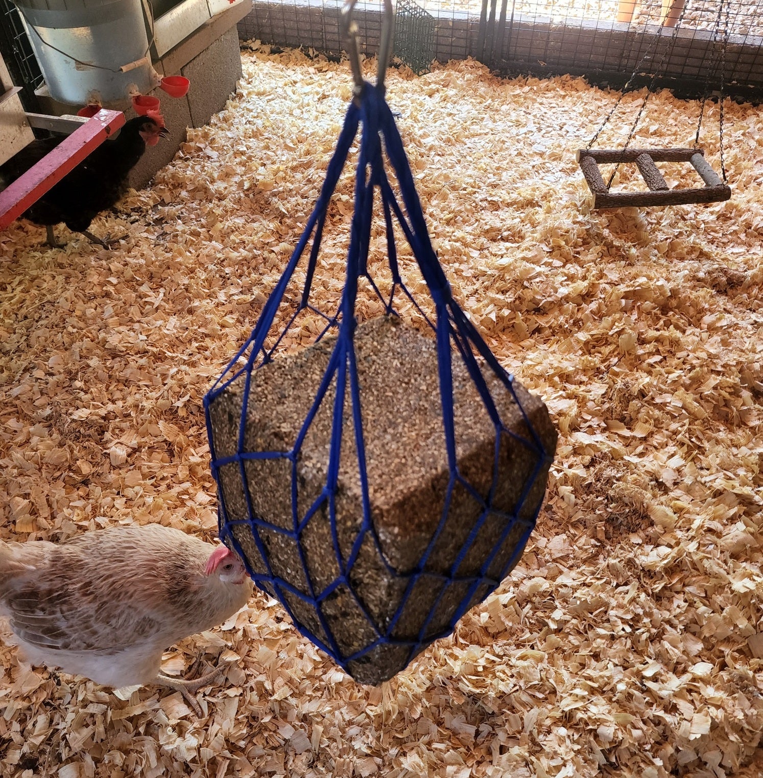 BLUE Chicken Coop Flock Block Bird Seed Hanging Bag Veggie Treat Holder - Poultry Feeder Toy Accessories Cabbage Bowl Sack