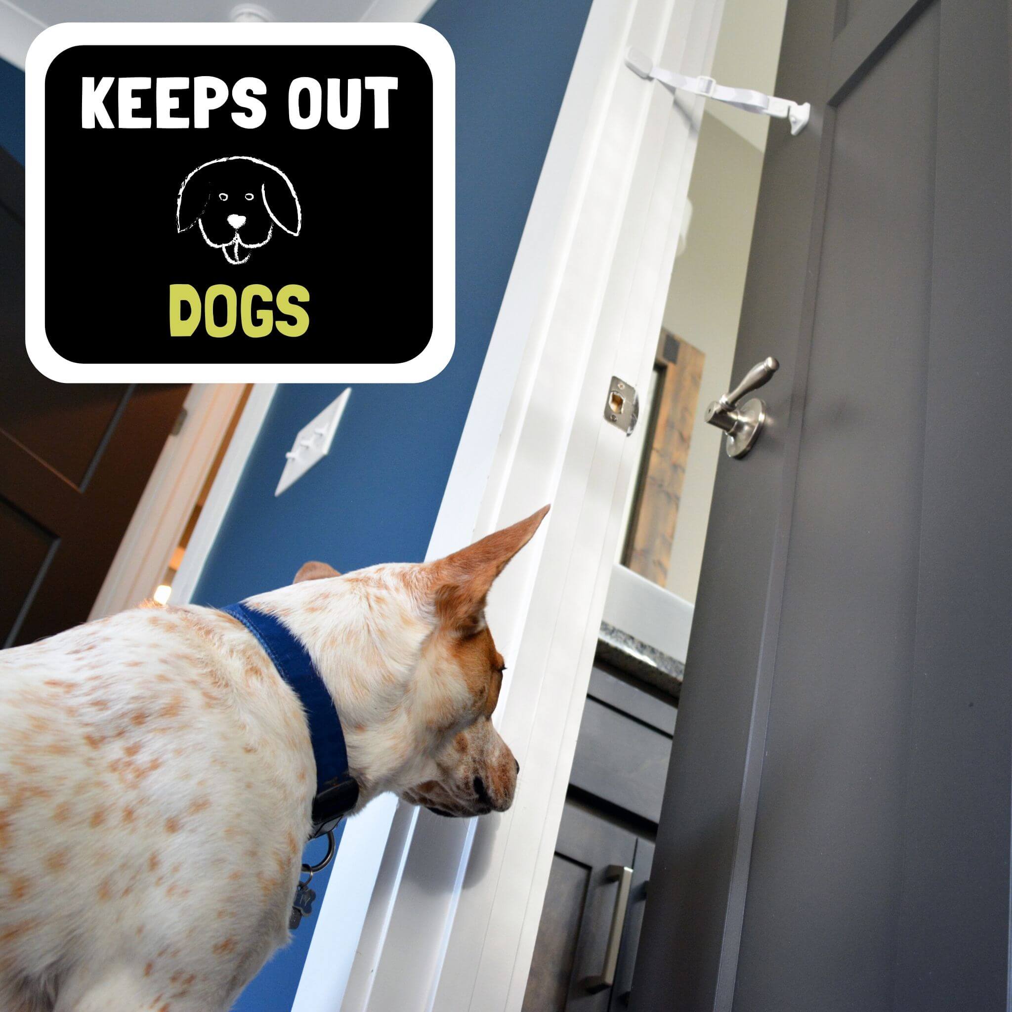 Door Buddy Adjustable Door Latch - 2 Pk. Keep Dog Out of Litter Box and Cat Food the Easy and Convenient Way.