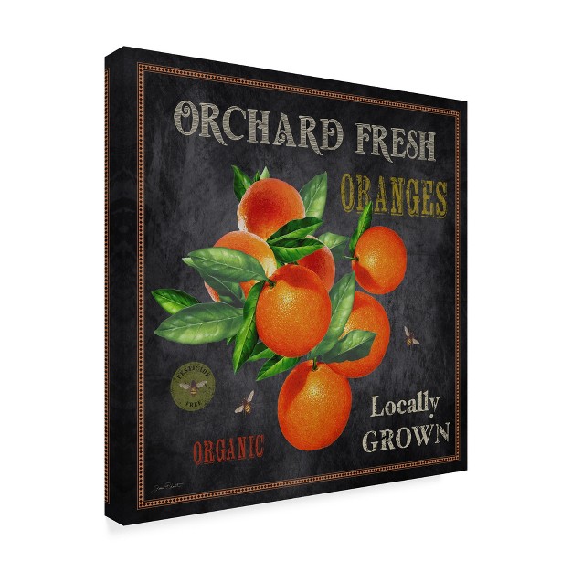 Trademark Fine Art jean Plout x27 orchard Fresh Oranges x27 Canvas Art