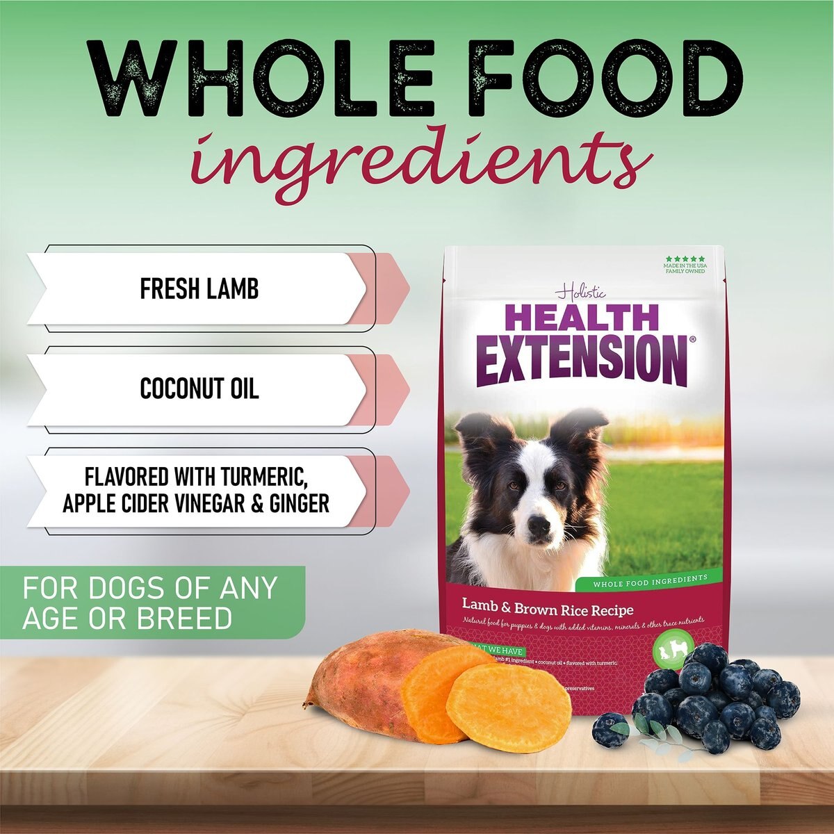 Health Extension Lamb and Brown Rice Dry Dog Food