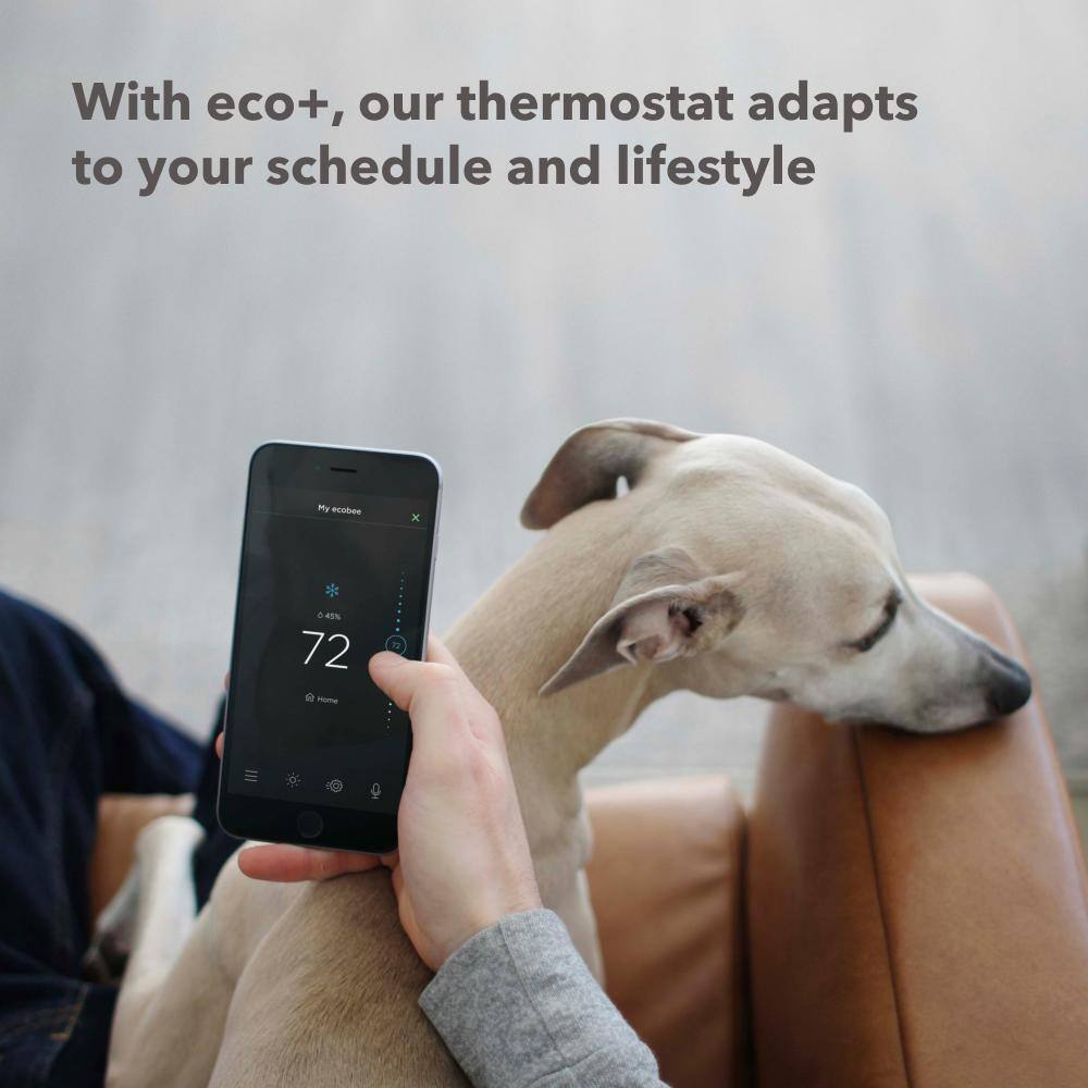 ecobee ecobee3 Lite Programmable Smart Thermostat with Alexa Google Assistant - Energy Star Certified EB-STATE3LT-02