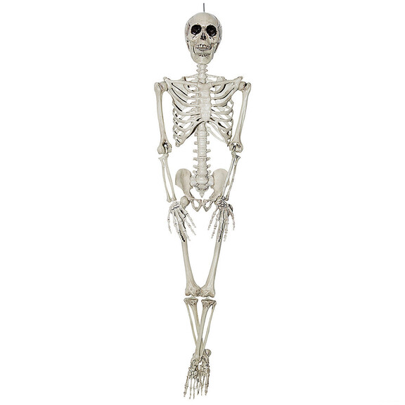 Morris Costumes SS80010 3' Hanging Skeleton Hallow...