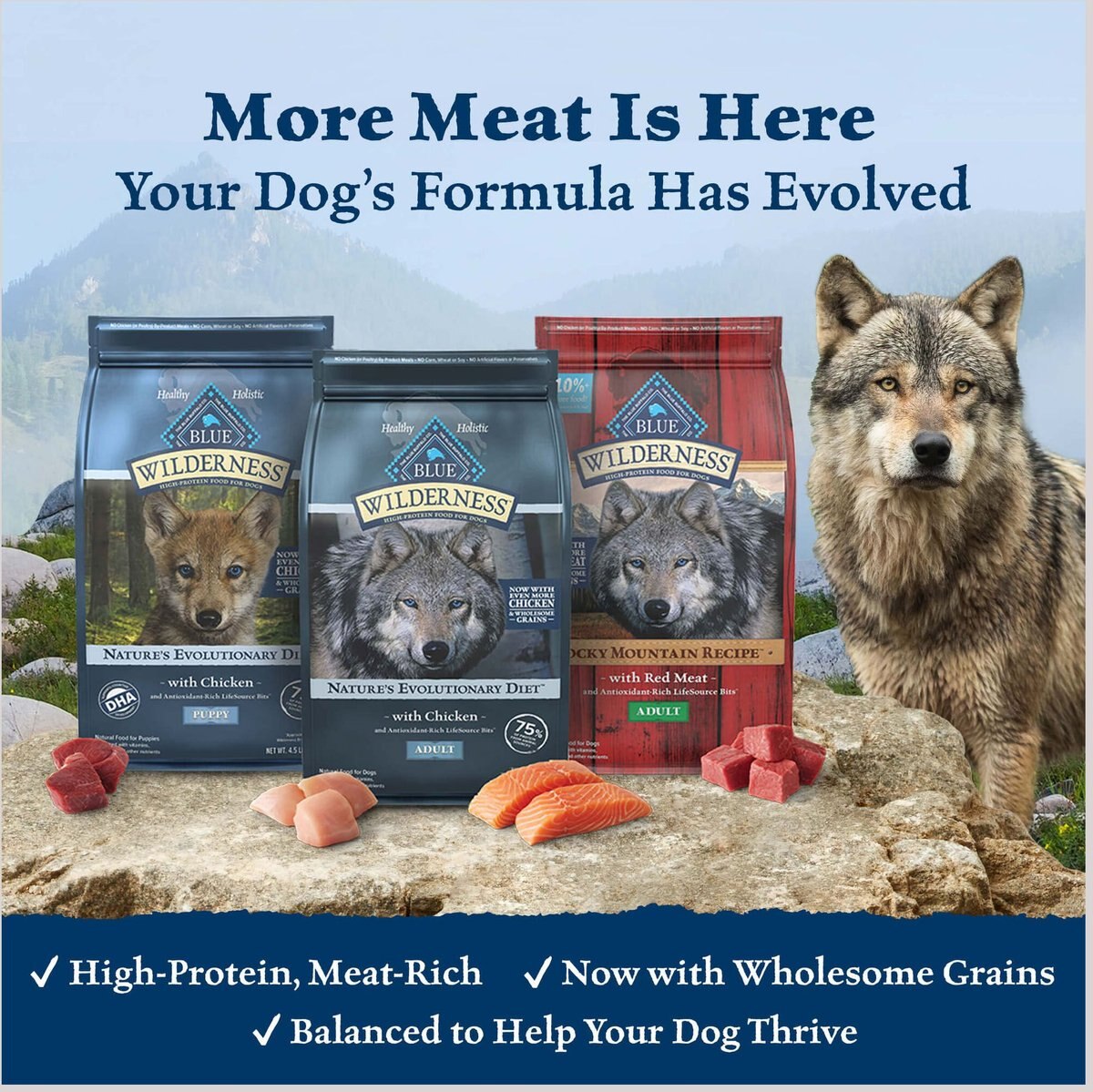 Blue Buffalo Wilderness Salmon Adult Dog Dry Food