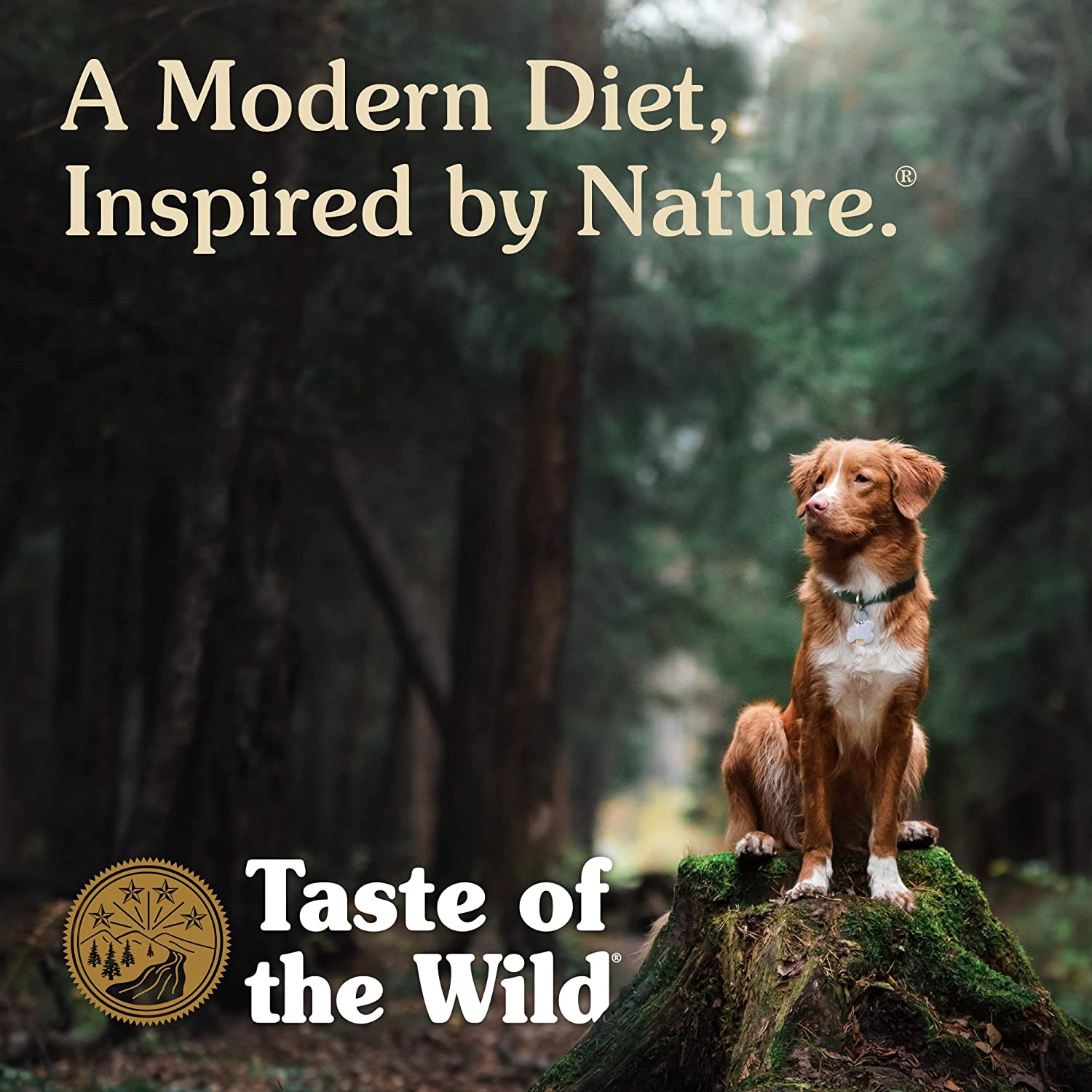 Taste of the Wild Pacific Stream Canine Grain-Free Recipe with Smoked Salmon Adult Dry Dog Food， Made with High Protein from Real Salmon and Guaranteed Nutrients and Probiotics 5lb