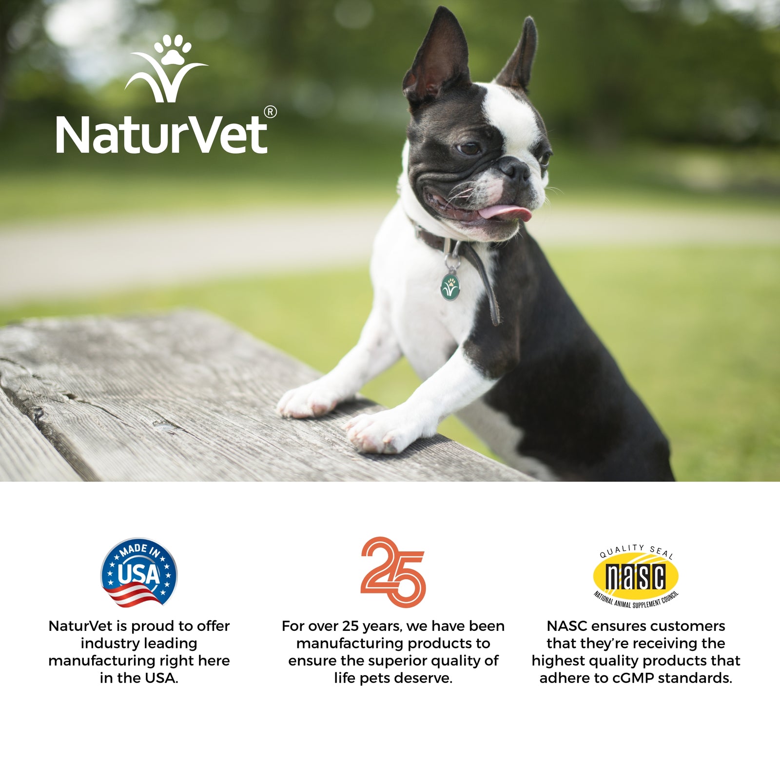 NaturVet Advanced Probiotic  Enzymes Powder for Dogs and Cats