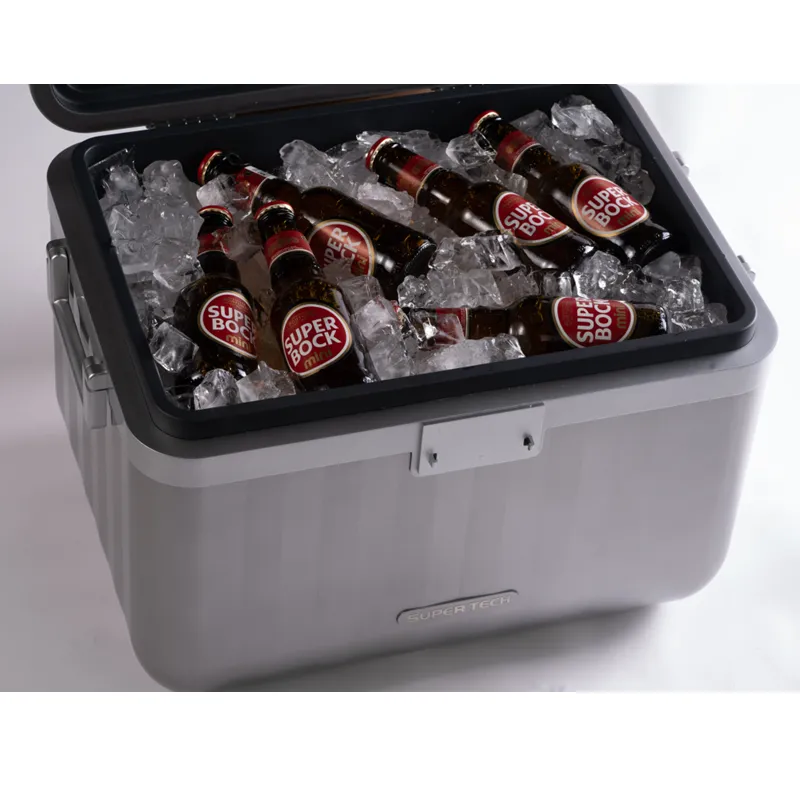 Wholesale Reasonable price china ice cooler box 26L hiking box camping strong and durable keep cool ice chest