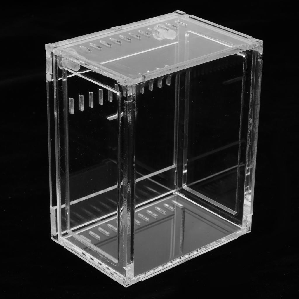 Clear Terrarium Box Reptile and Amphibian Breeding Box for Turtle