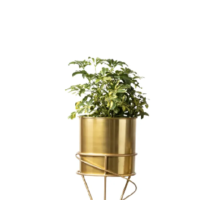 New Arrival Outdoor Metal Planter Direct Factory Sale Floor Planter Metal Planter Available In Custom Sizes