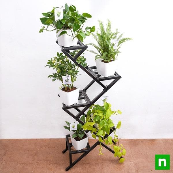 Amazing plants on metal stand for indirect light receiving home space