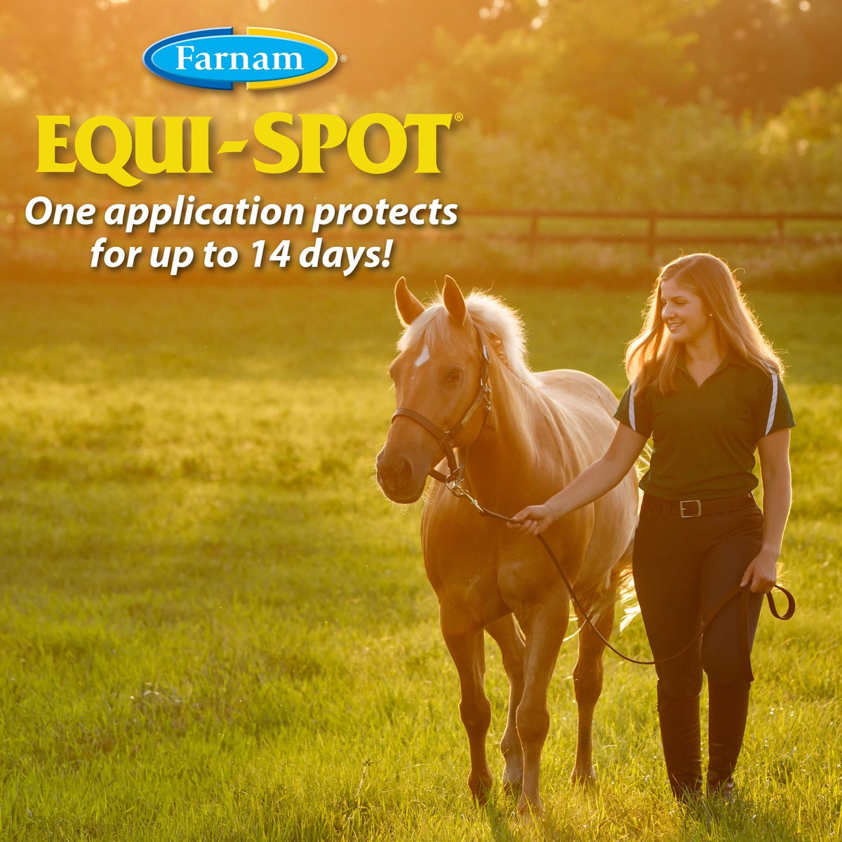 Farnam Equi-Spot Horse Spot-On Fly Control