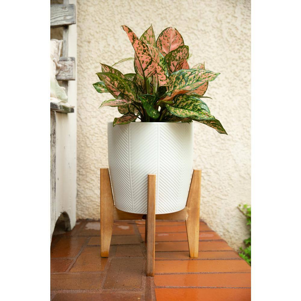 Flora Bunda 10 in. and 6.6 in. Matte White Chevron Ceramic Plant Pot on Wood Stand Stand Mid Century Planter (Set of 2) CT1298E2-MTWH