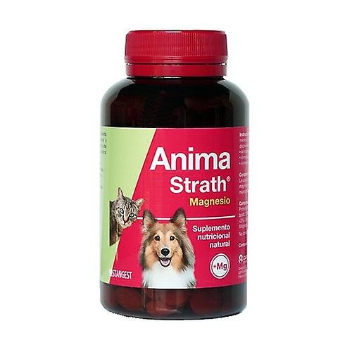 Anima strath magnesium 240 tablets