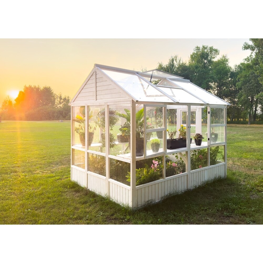 Zylina XL Hobby Greenhouse   103 x 78 x 89