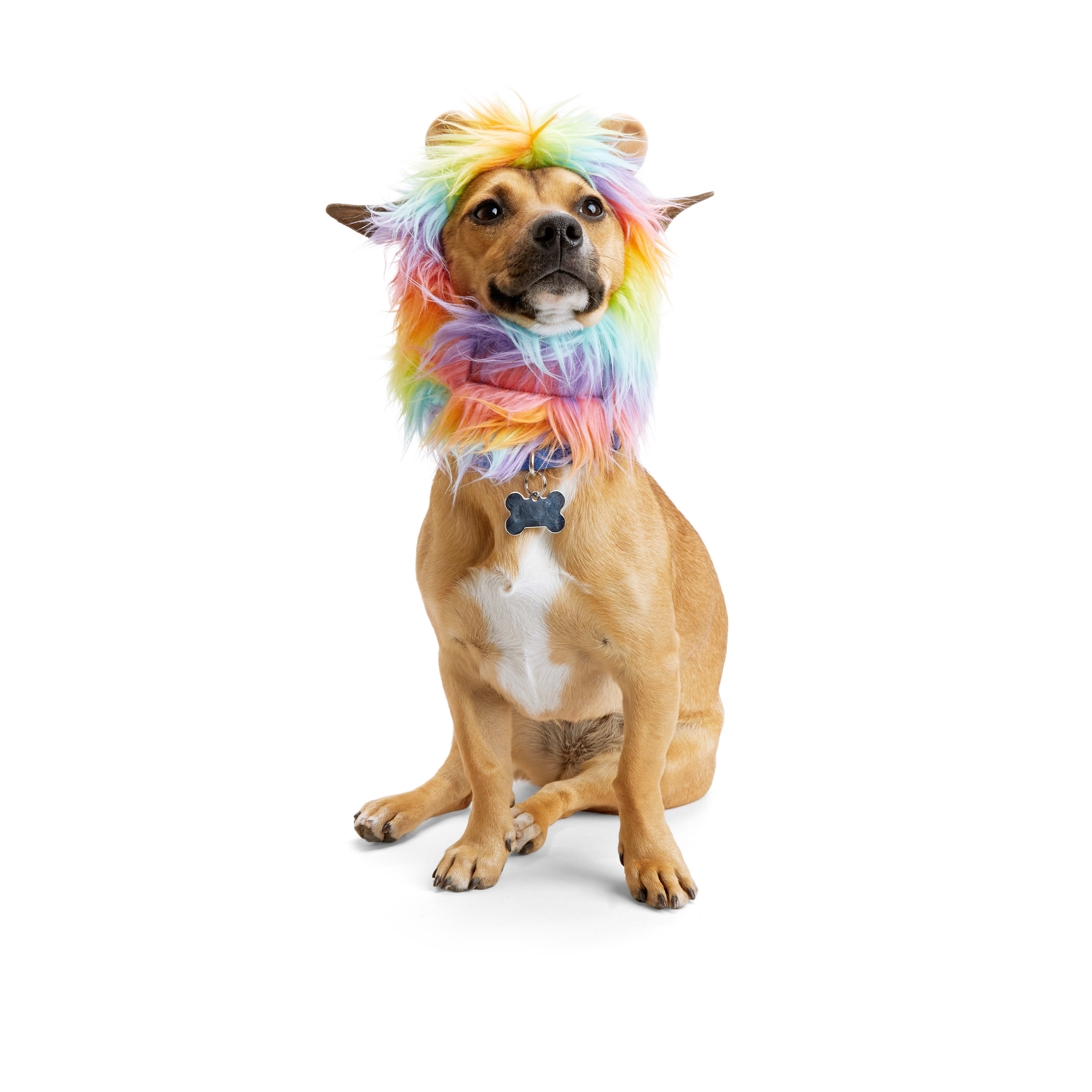 YOULY Pride Rainbow Lion Mane Dog Headpiece， X-Small/Small