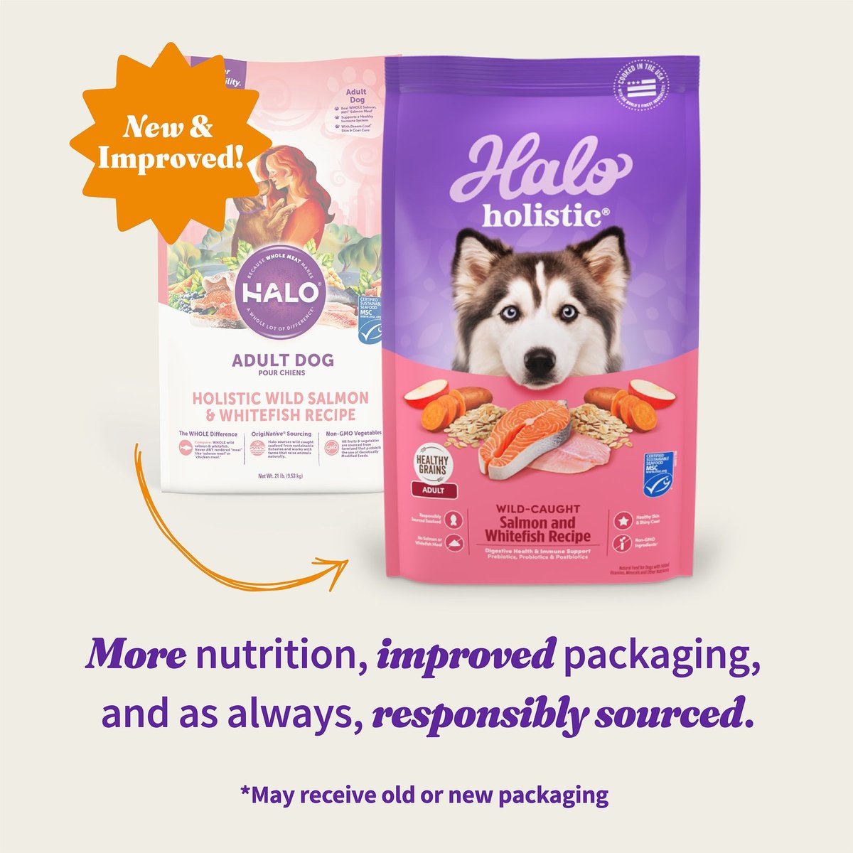 Halo Holistic Complete Digestive Health Wild-Caught Salmon and Whitefish Dog Food Recipe Adult Dry Dog Food