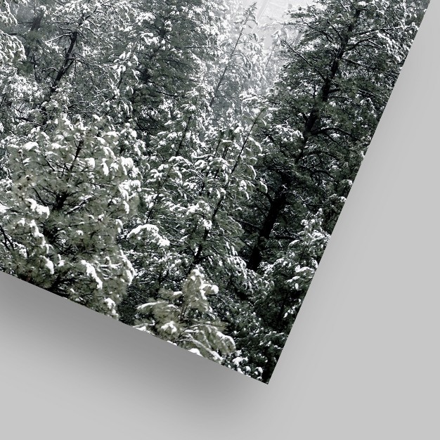 Americanflat Botanical Landscape Snowy Nordic Trees By Tanya Shumkina Poster