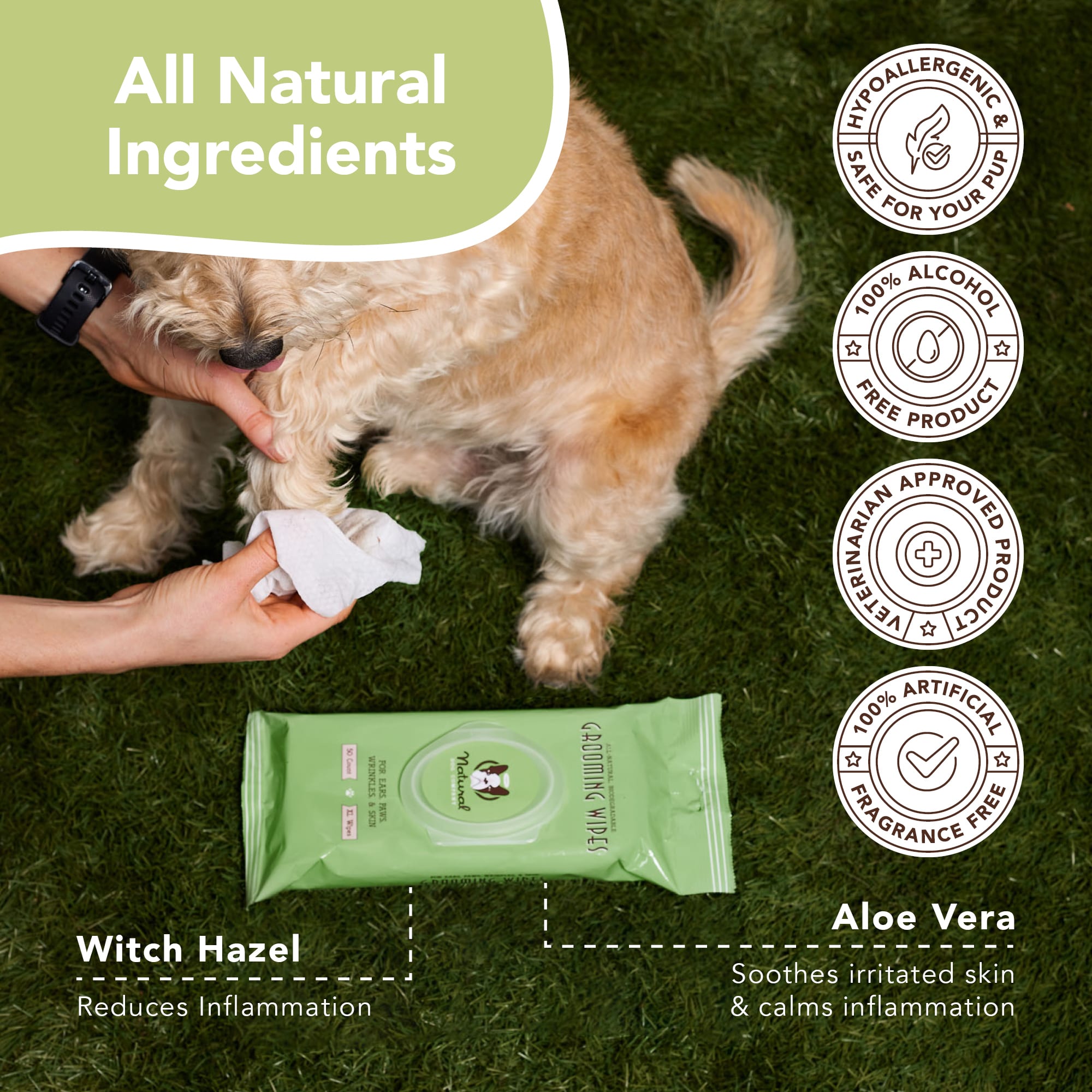 Natural Dog Company Grooming Wipes for Dogs， Count of 50