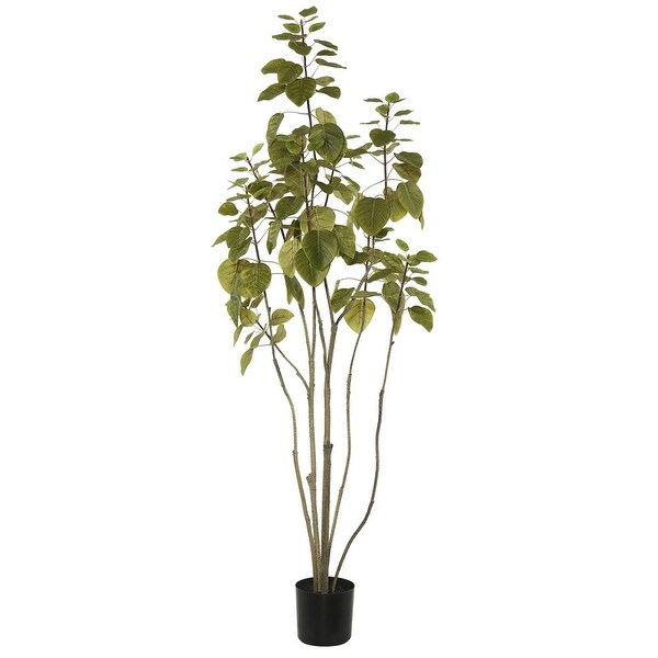 Vickerman 4' Green Cotinus Coggygria Everyday Tree