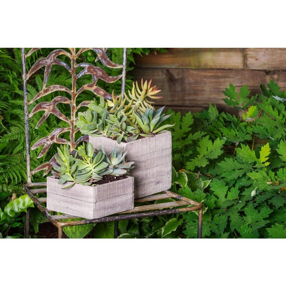 Paddock Home and Garden 7 in. Concrete Tall Square Planter Box 521435