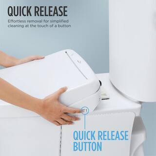 TOTO C5 Washlet Electric Heated Bidet Toilet Seat for Elongated Toilet in Cotton White SW3084#01