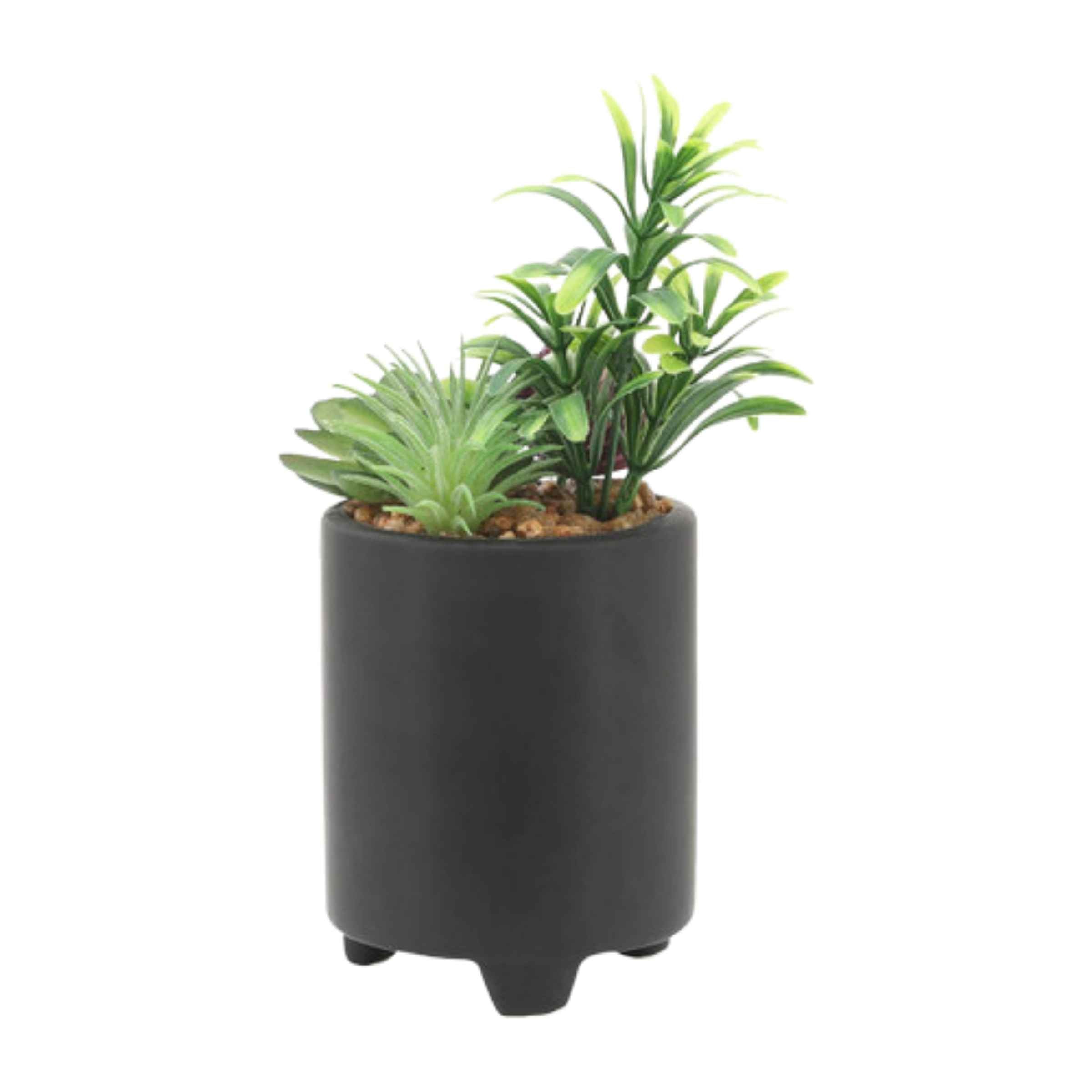 Face Ceramic Planter With Artificial Plants 8.89 Cm - Black 16972-02