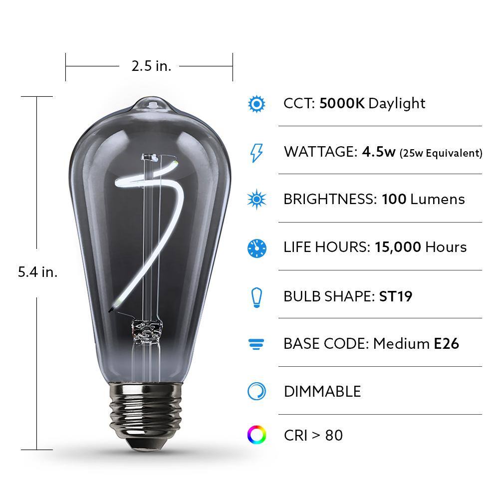 Feit Electric 25-Watt Equivalent ST19 Dimmable Curve Filament Smoke Glass Vintage Edison LED Light Bulb Daylight (12-Pack) ST197SMKLEDHDRP12