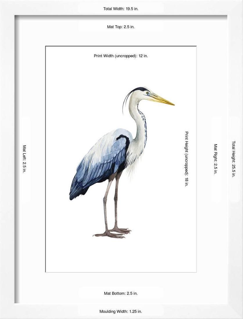 Seabird Heron II， Animals Framed Art Print Wall Art by Grace Popp Sold by Art.Com