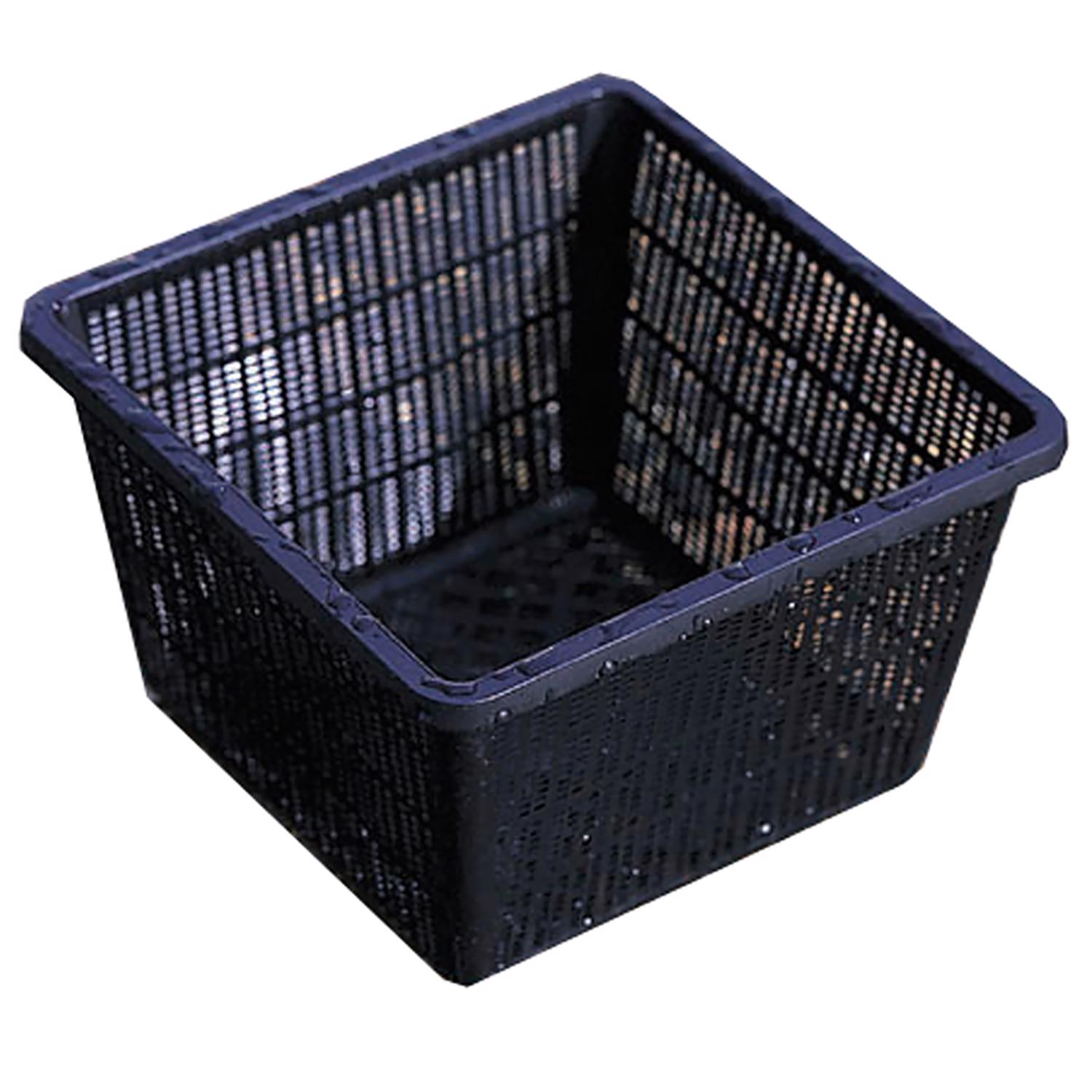 Beckett Aquatic 10 in. Plastic Plant Basket