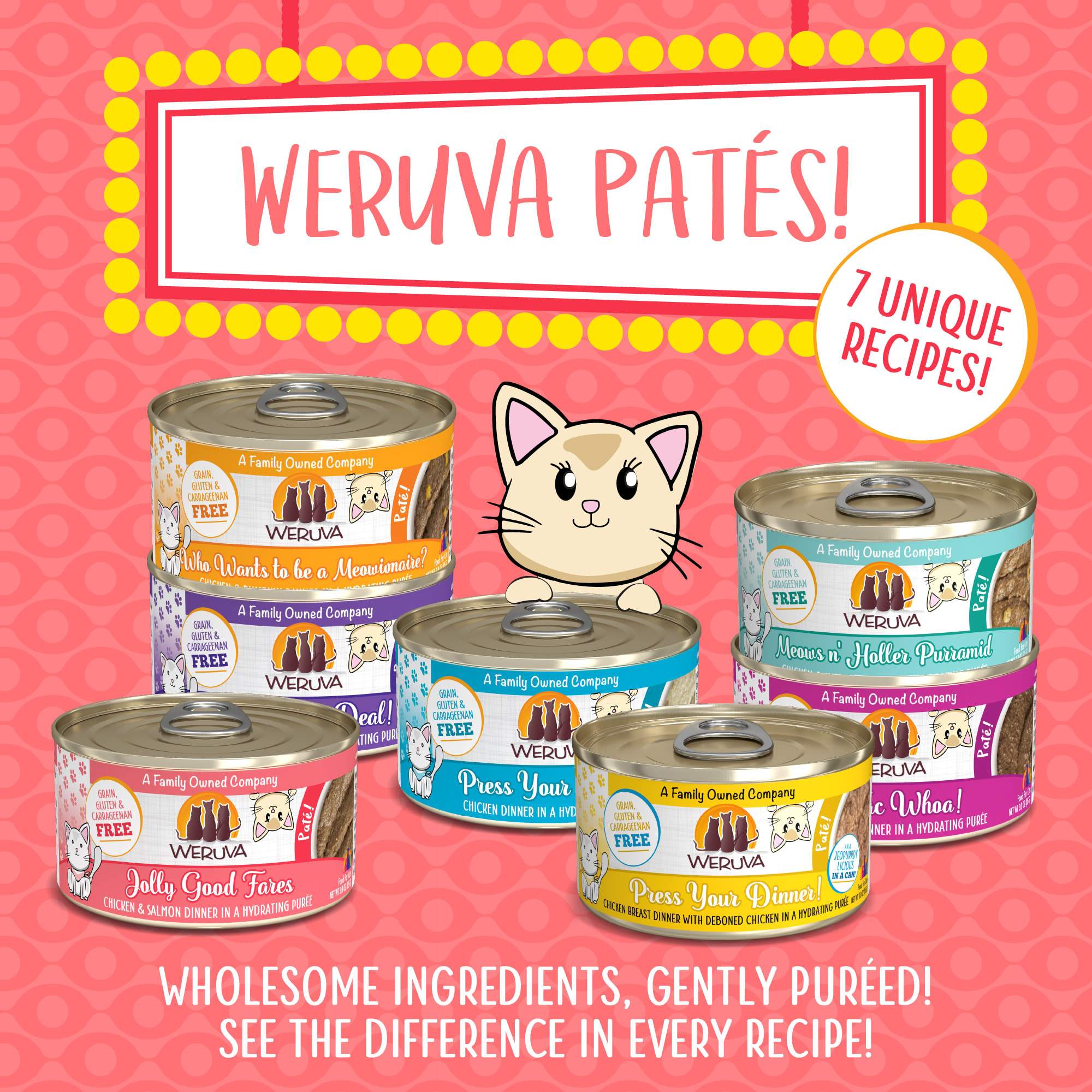 Weruva Pate Jolly Good Fares Chicken  Salmon Dinner in a Hydrating Puree Wet Cat Food， 3 oz.， Case of 12