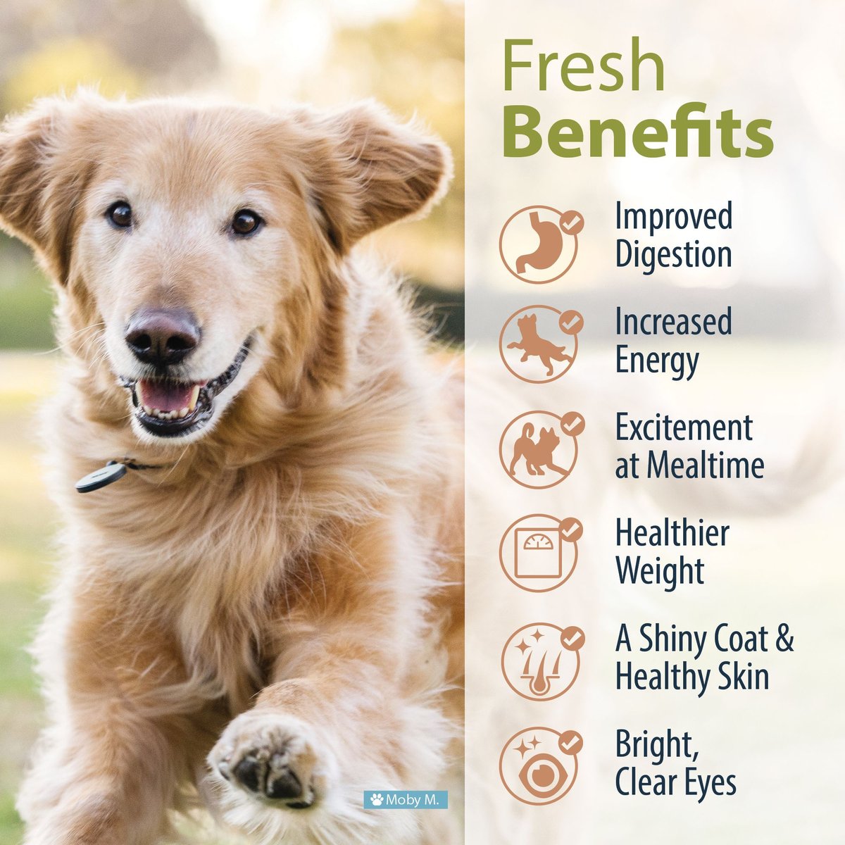 JustFoodForDogs Beef and Russet Potato Recipe Frozen Human-Grade Fresh Dog Food