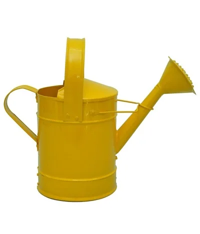 Watering Can Galvanized Tin Iron Best Selling 1 2 Gallon Black Metal Customized water cane