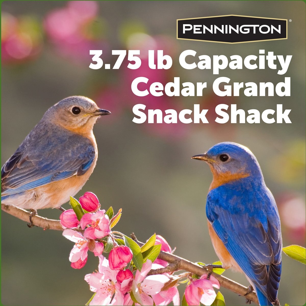 Pennington Cedar Grand Snack Shack Bird Feeder