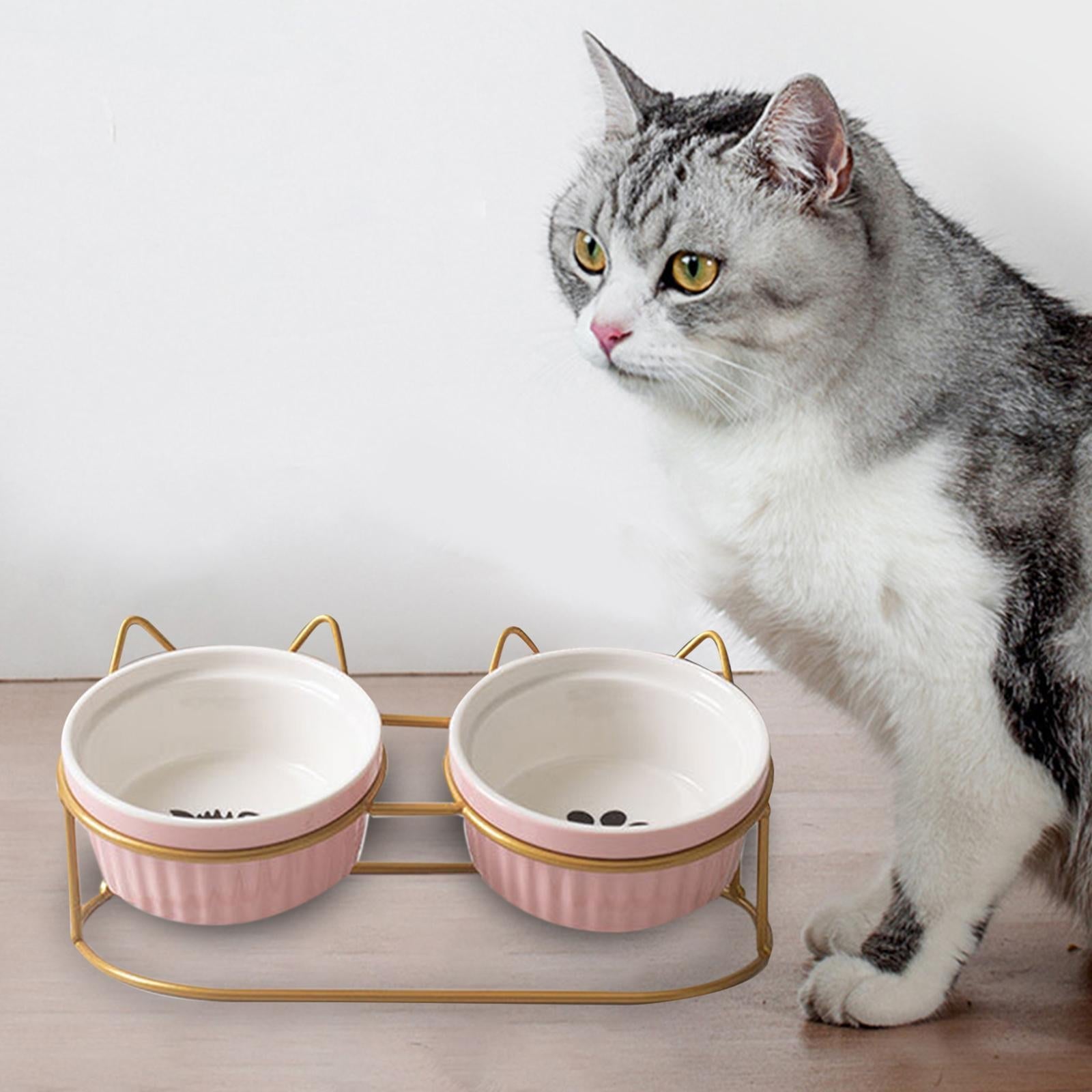 Cat Bowls Raised Iron Stuble Elevated