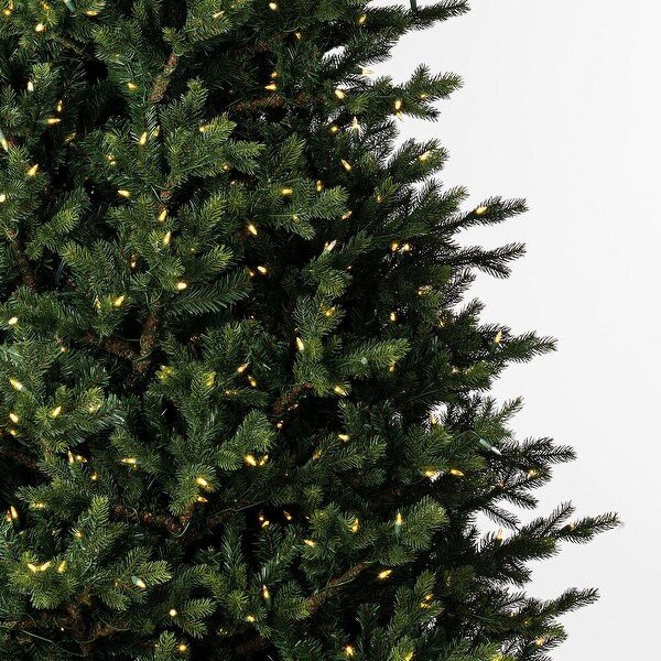 Vickerman 8.5' x 64 Welch Fraser Fir Artificial Christmas Tree，Warm White Duralit LED Lights