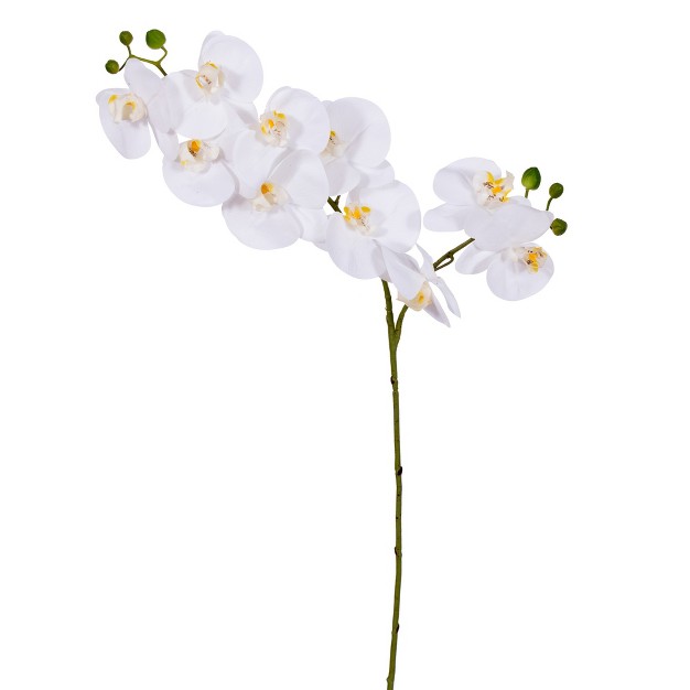 White Artificial Orchid Stem Real Touch