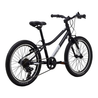 Pinnacle Ash 20 Inch Kids Bike