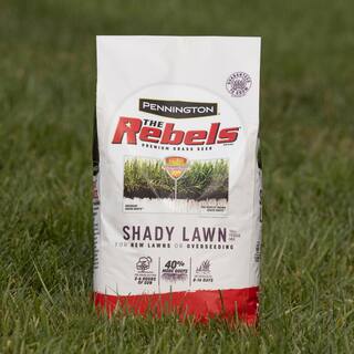 Pennington The Rebels 3 lbs. Shady Lawn Grass Seed Mix 100543725