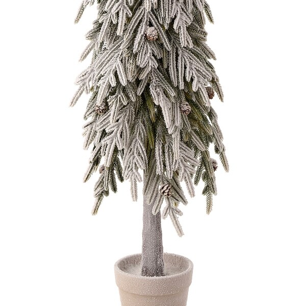 48 Potted Soft Touch Snow Norfolk Pine Tree